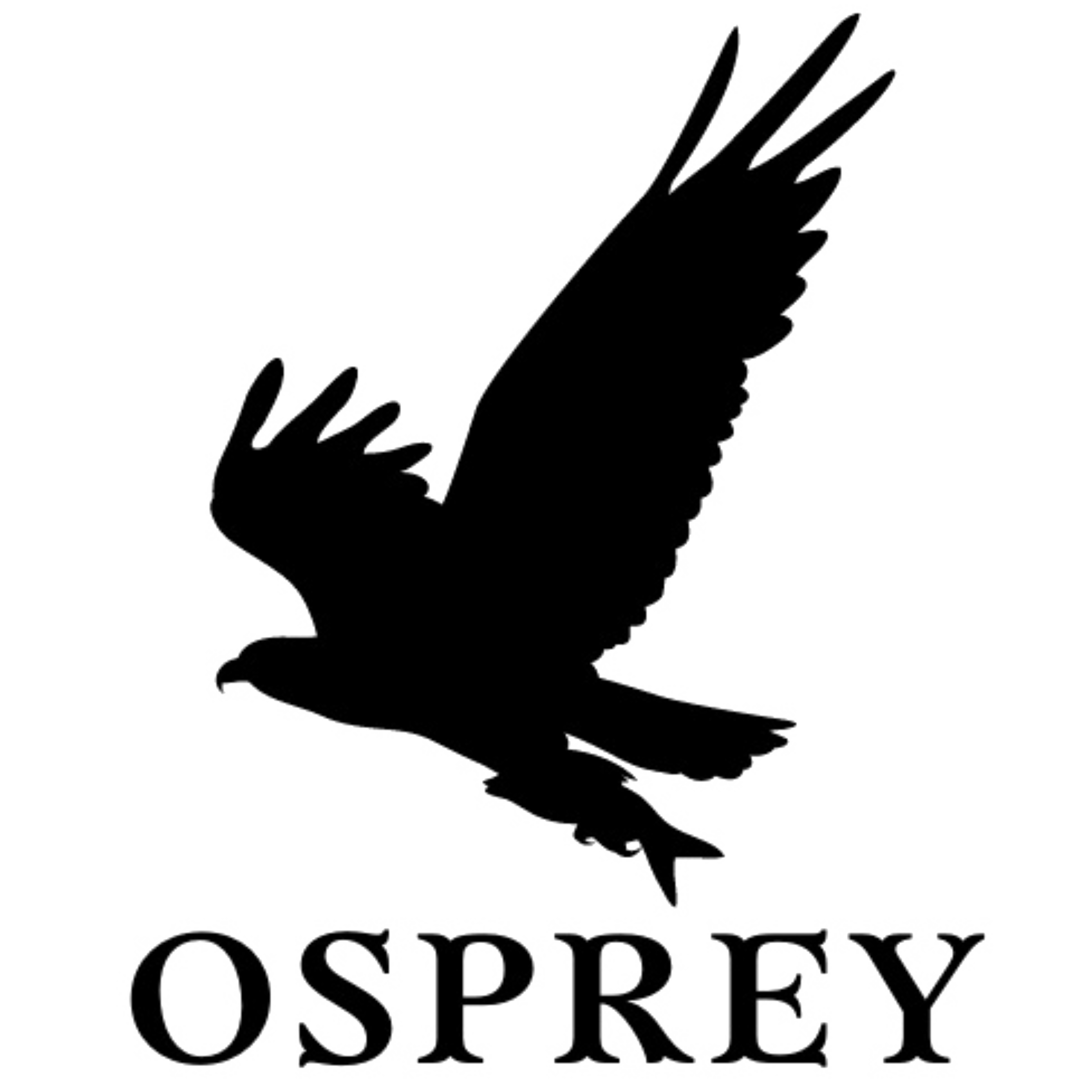 Osprey AI Group